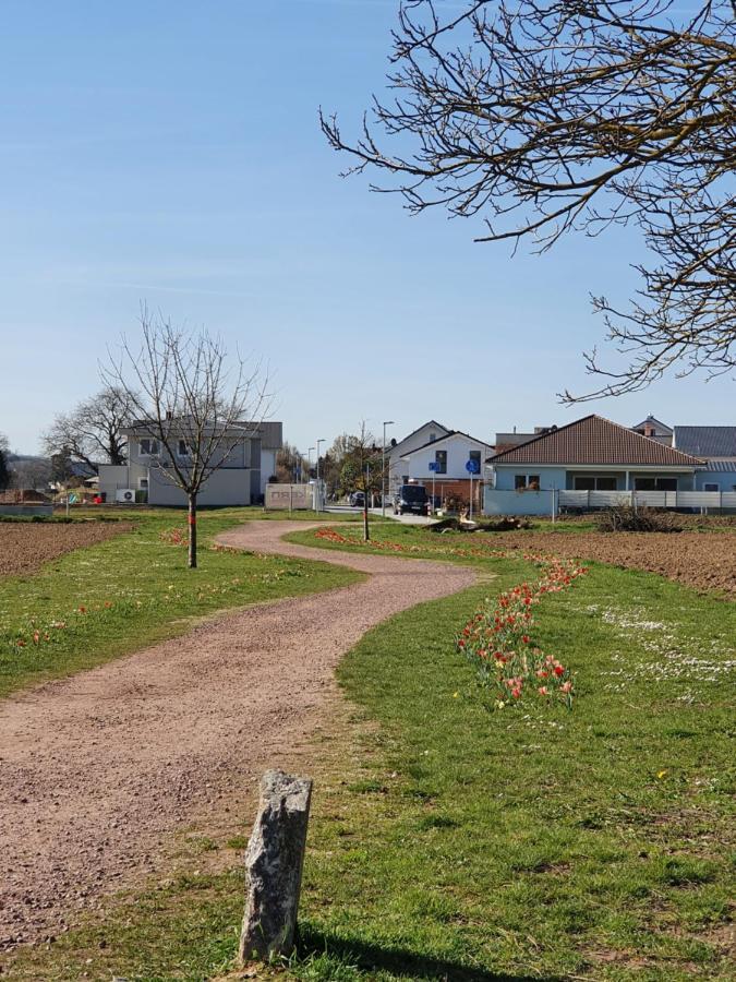Ferienwohnung Zum Schlossblick Naehe Europa Park Mahlberg Eksteriør bilde