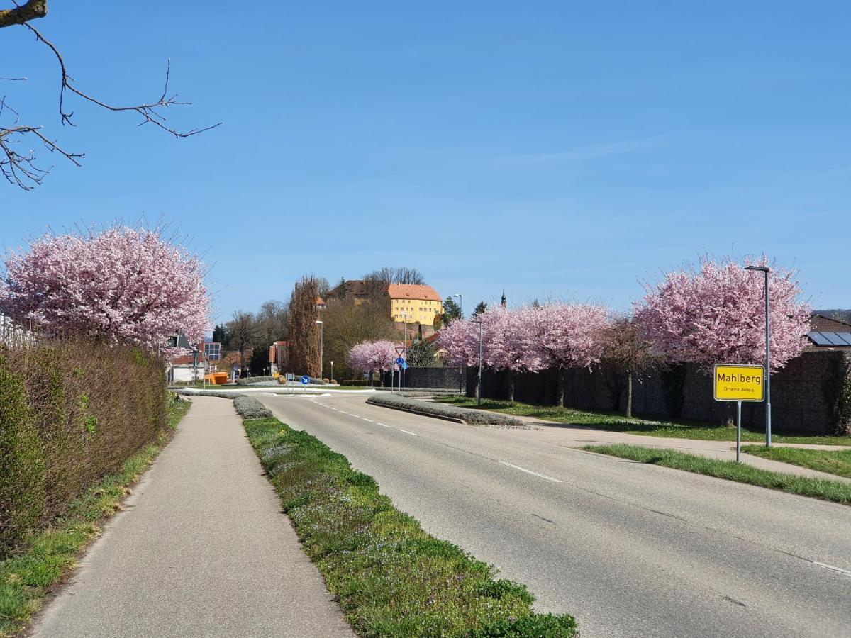 Ferienwohnung Zum Schlossblick Naehe Europa Park Mahlberg Eksteriør bilde